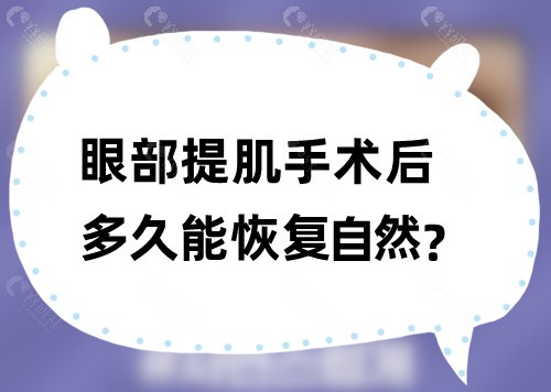 眼部提肌手术后多久能恢复自然？