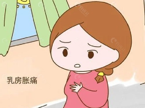 英捷尔法勒不取可以吗？不可以