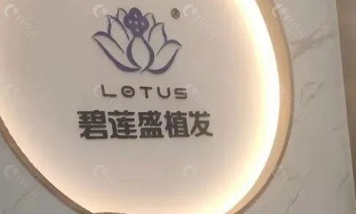 郑州碧莲盛植发科