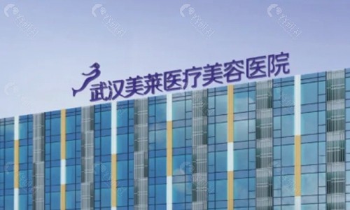 武汉美莱医疗美容医院logo