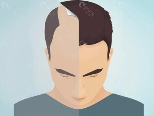 重庆华肤毛发科价格表
