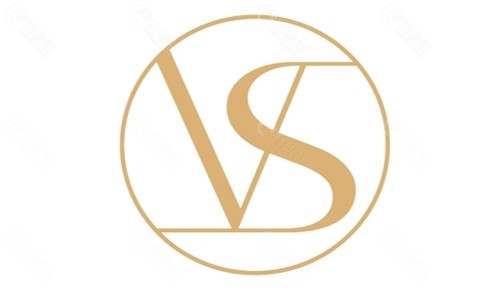 韩国VSline狎鸥亭店logo