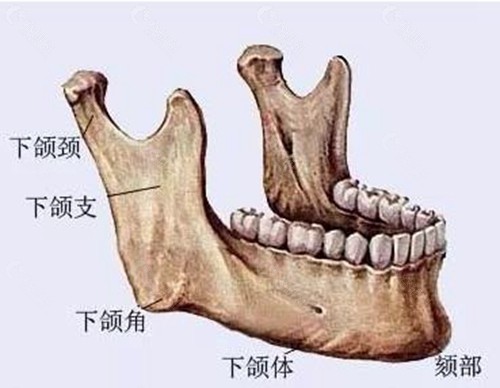 石家庄下颌角整形价格表