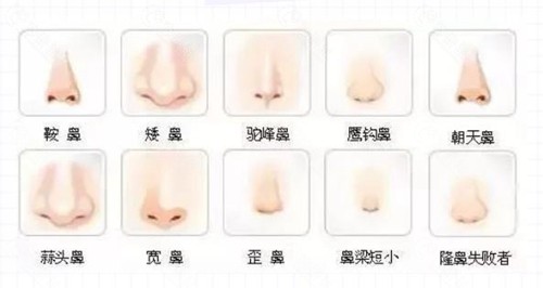 段艳军