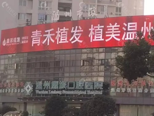 温州青禾植发怎么样