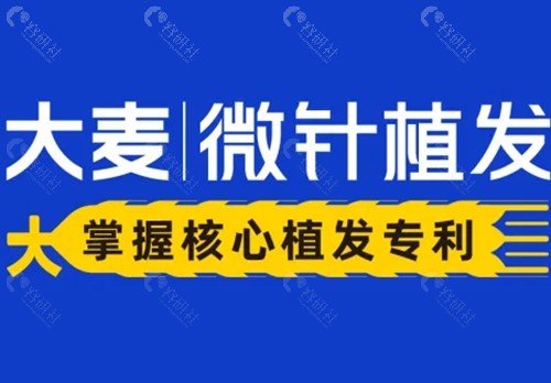 东莞大麦微针植发好吗