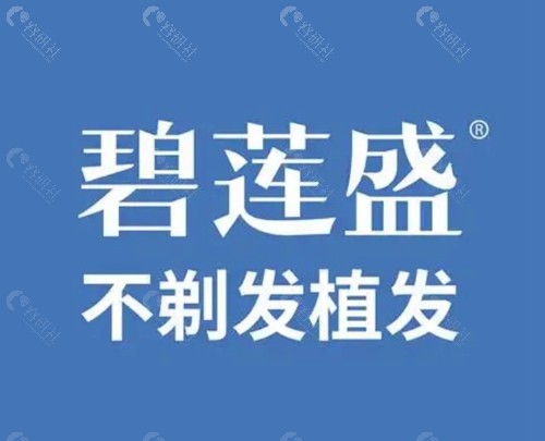 2025碧莲盛植发价格表