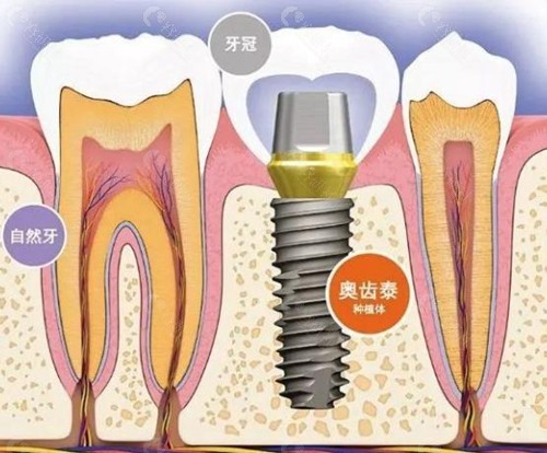 搜狗高速浏览器截图20250106150844