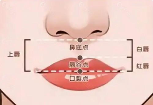 广州人中缩短多少钱