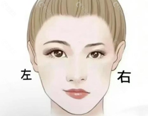 大小脸矫正挂什么科？
