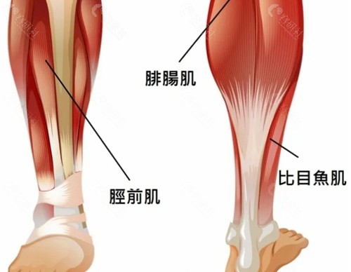 西安打瘦腿针好的医院推荐