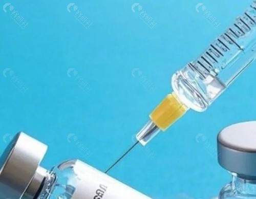 三型胶原蛋白哪个品牌好？