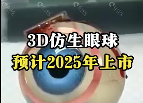 3d仿生眼球多少钱？