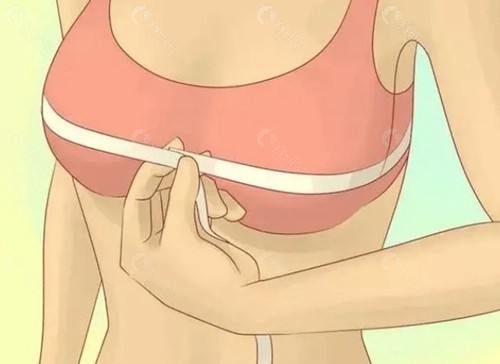 丰胸霜真的能让乳房变大吗