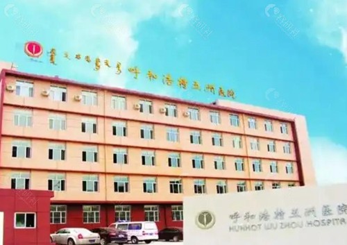 2025年呼市整形好的医院