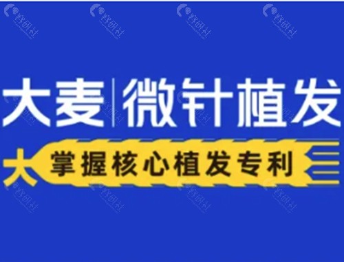 大麦微针胡须种植好吗
