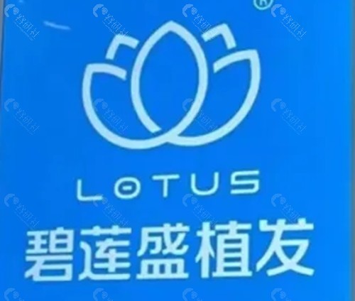 碧莲盛胡须种植怎么样