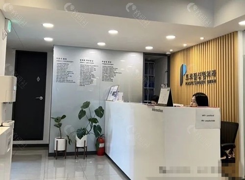 韩国普罗菲耳额头提升好吗