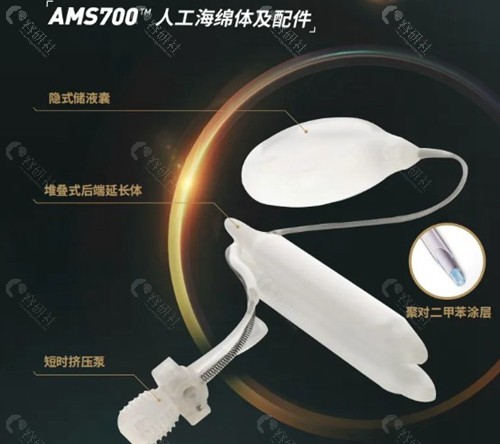 ams700人工海绵体手术怎么做？