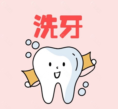 其他常见项目收费标准