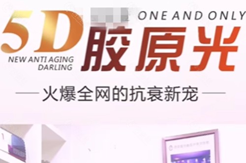 5D胶原光价格