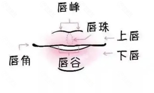 嘟嘟唇打什么品牌玻尿酸好