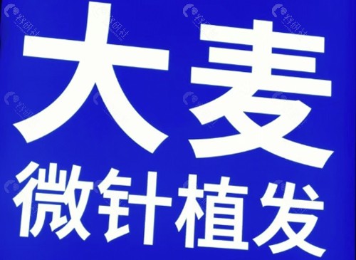 东莞大麦微针植发怎么样
