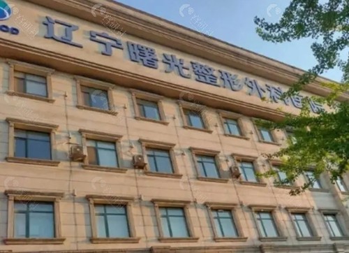 辽宁曙光白迪提眉好吗