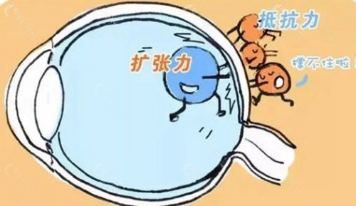 杨明迪医生