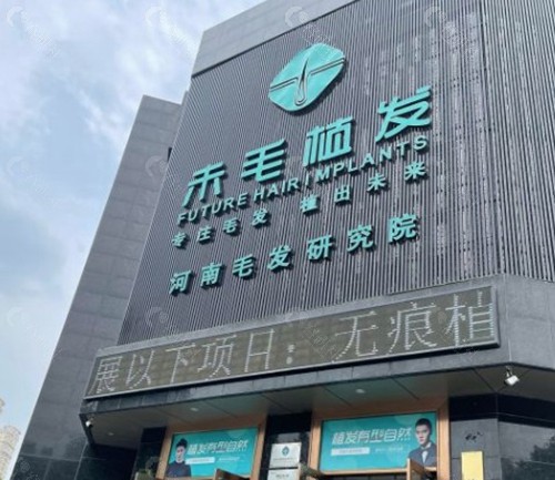2. 洛阳未毛植发 