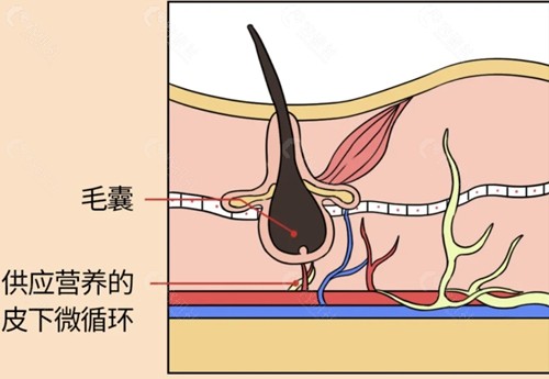 常德德美植发怎么样