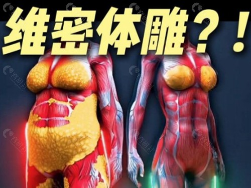 维密脂雕和黄金微雕适合部位