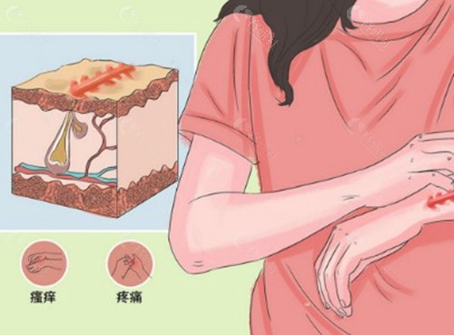 赵可医生