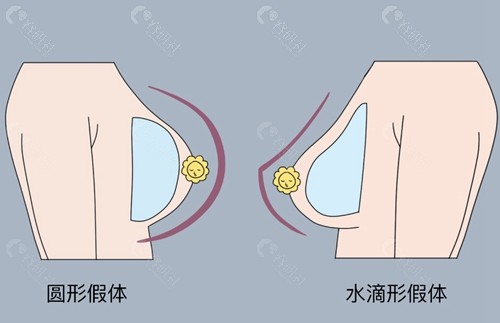 陈德法医生