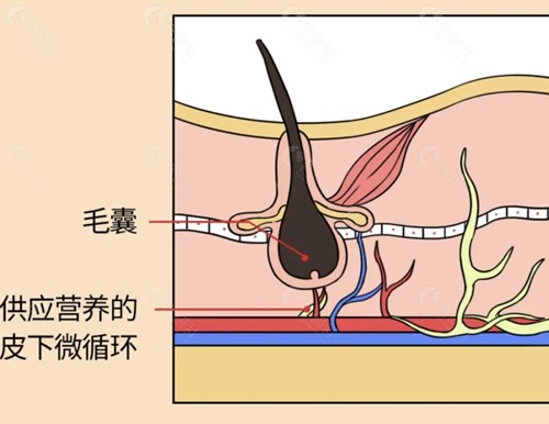 柳州健民医院植发好吗
