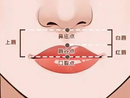 李泽医生人中缩短好吗