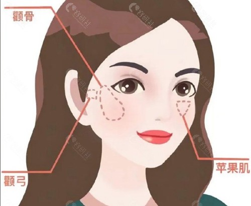 3. 李晓东