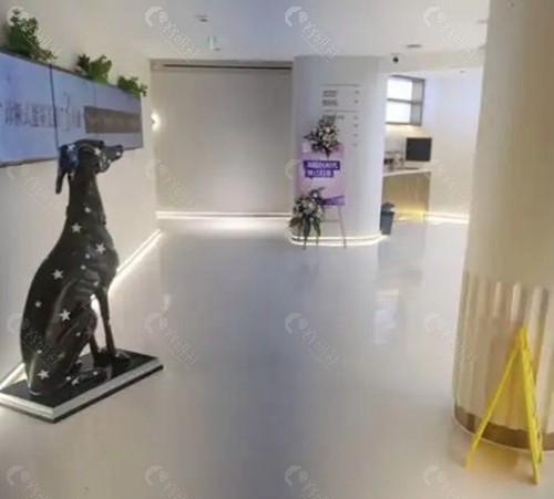 成都汉密尔顿美容院 成都汉密尔顿美容院