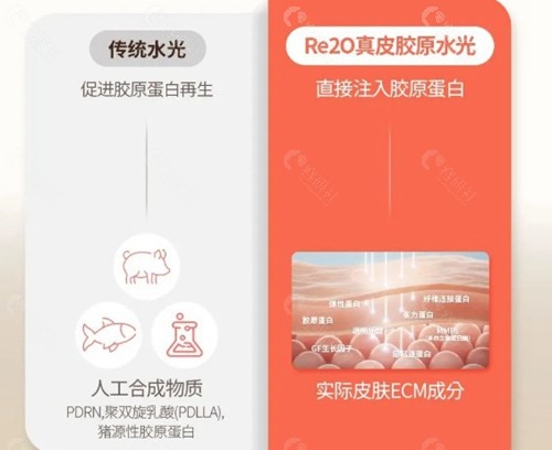 韩国Re20胶原的价格