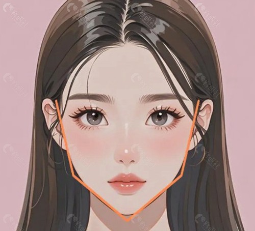 蒋铮铮医生