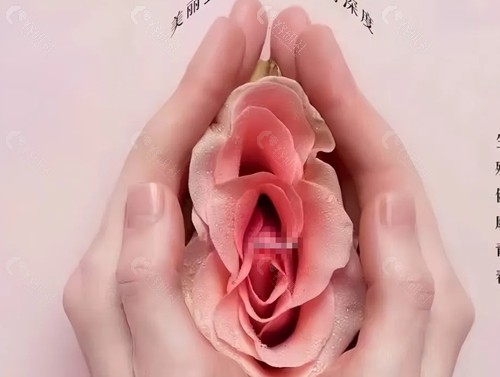 女性私密手术都包含哪些项目