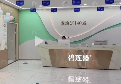 泉州碧莲盛植发怎么样
