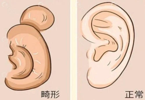 郭志华