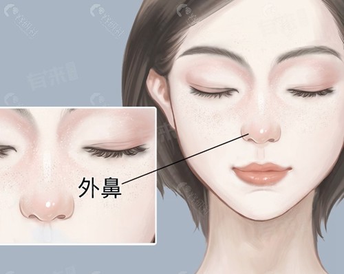 悦龄塑星悦