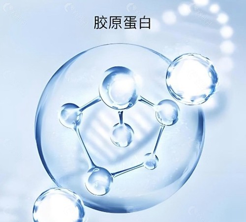 不同品牌胶原蛋白特色