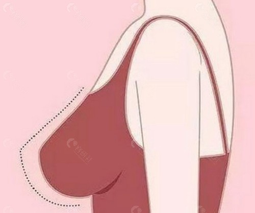 熊猛医生