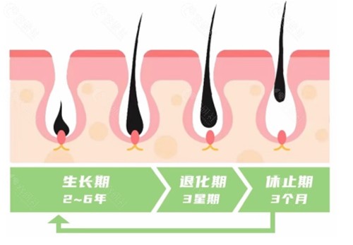 宝鸡市中心医院治疗脱发好吗