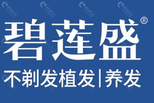 武汉碧莲盛眉毛种植怎么样