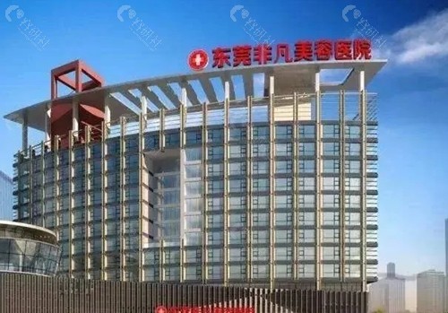 东莞非凡馒化脸修复怎么样