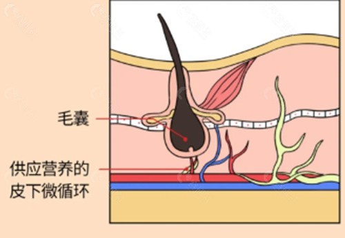 宜昌奥莱美诺植发好吗